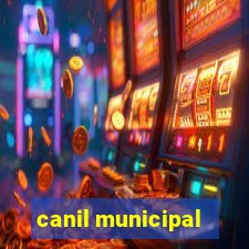 canil municipal